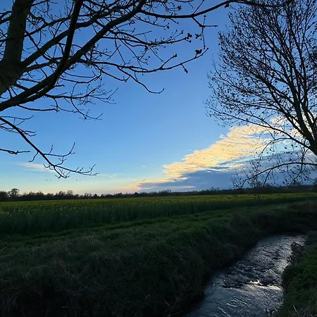 La Venise De L'ouest Kemp *