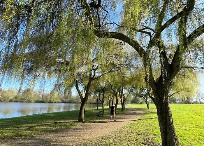 La Venise De L'ouest 营地